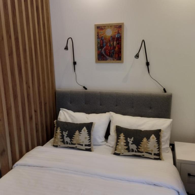 Kop San Residence Hill - Apartman sa 1 Spavaćom Sobom - 10
