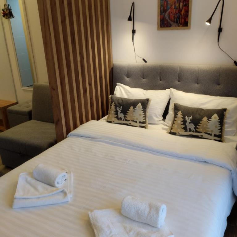 Kop San Residence Hill - Apartman sa 1 Spavaćom Sobom - 12