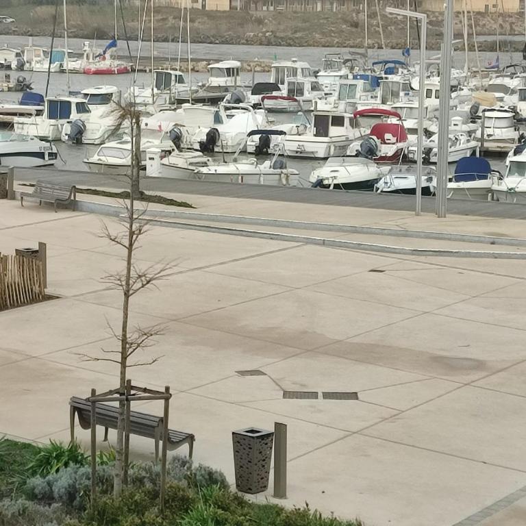 Studio Valras vue Port et Mer, Wi-Fi gratuit, Parking box fermés avec vélos inclus - Apartamento con vistas al mar - 23