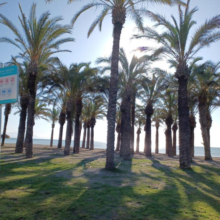 Salicia Alamos Beach - Apartamento de 2 dormitorios - 13