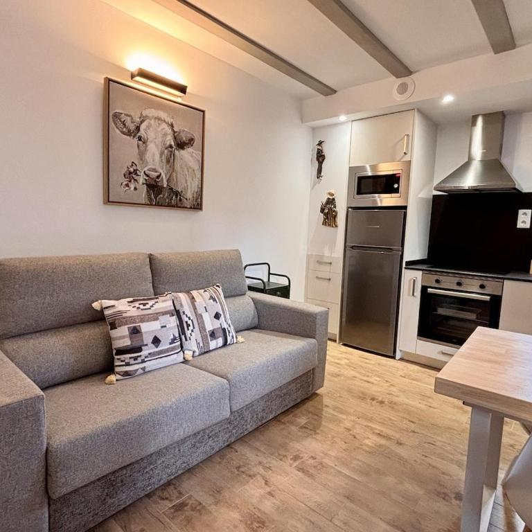 BPIRINEOS-Pedronet - Apartamento de 2 dormitorios - 14