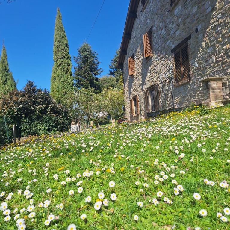 Assisi Casa Vacanze Da Luigi - Casa con 3 Camere da Letto - 23