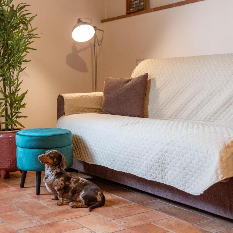 La Finestra d'Arezzo - Vacation Home - 29