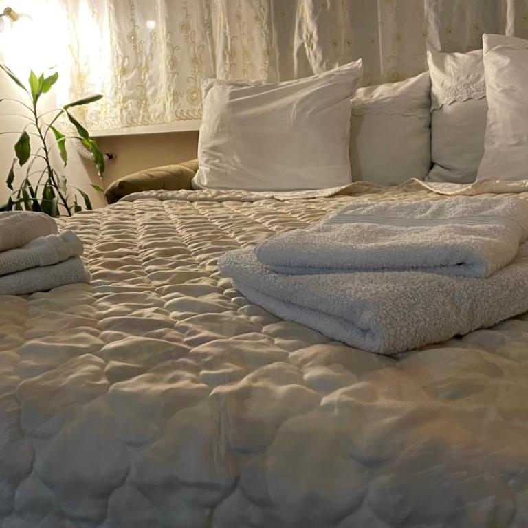 Stan na Dan - Centar - Besplatan parking - Apartman sa 1 Spavaćom Sobom - 6