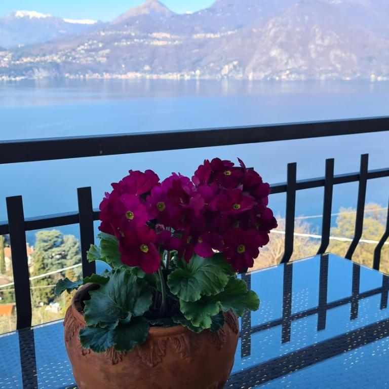 Villa gli Ulivi - Bariloche Lake & Mountain View - Villa Deluxe - 16