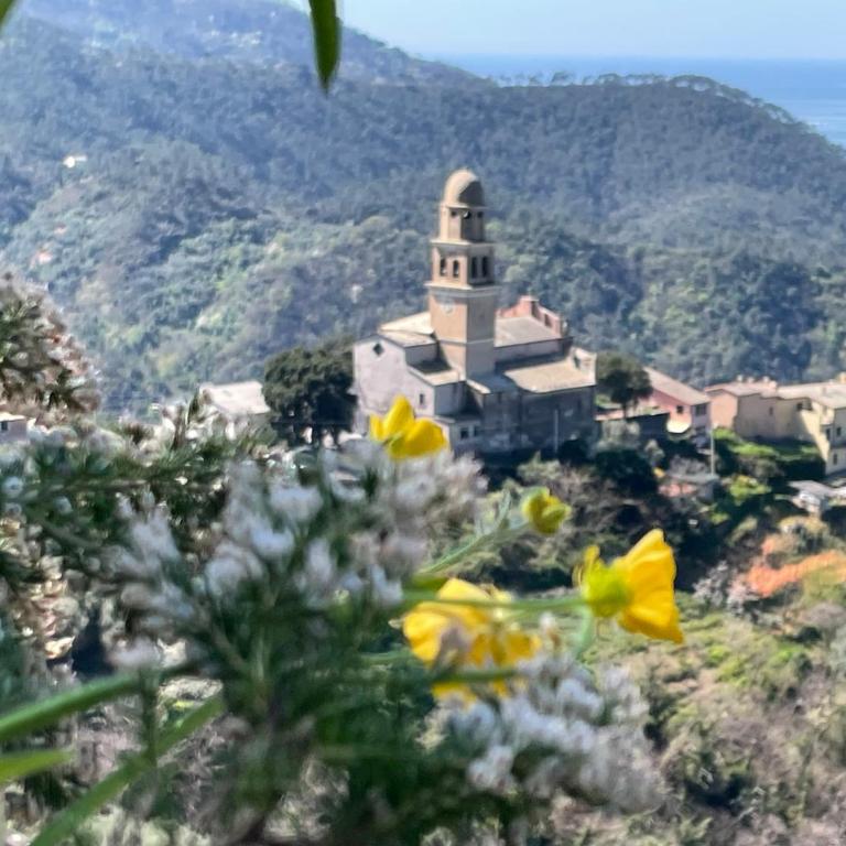 Terrazza Dolce Vita - Casa con 3 Camere da Letto - 2