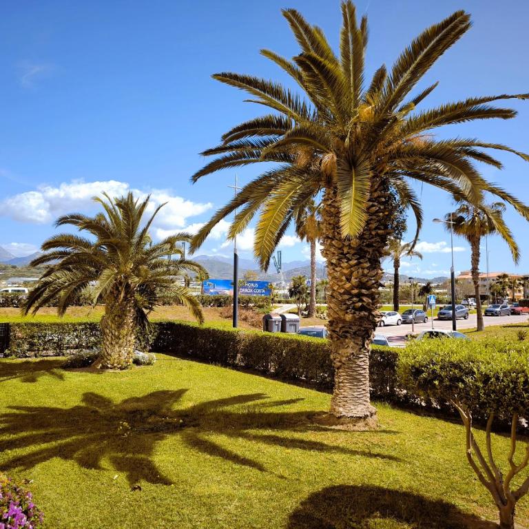 Cayo Beach - One-Bedroom Apartment - 29