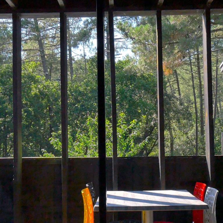 Eco-lodges Lacanau Moutchic Inn - 4 pers - Apartment with Terrace - 19