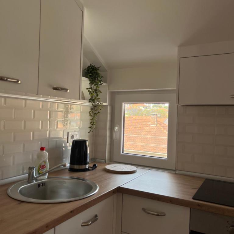 Apartman Dobrica - Apartman sa 1 Spavaćom Sobom - 10