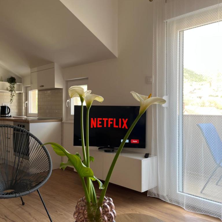 Apartman Dobrica - Apartman sa 1 Spavaćom Sobom - 13