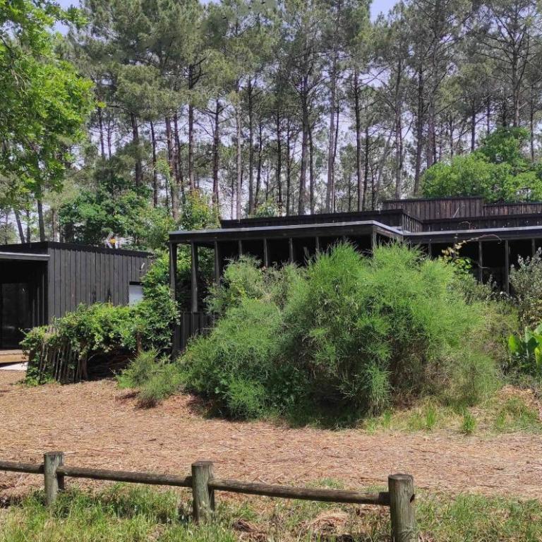 Eco-lodges Lacanau Moutchic Inn - 4 pers - Apartment with Terrace - 36