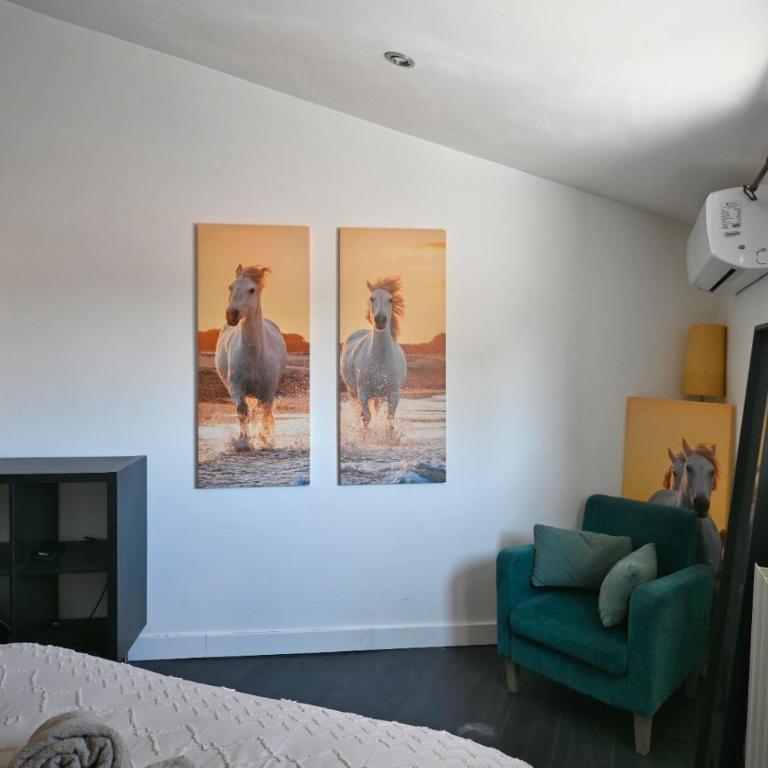 Maison du Bonheur , Villa de Détente , tout confort Piscine, Billard,en pleine Camargue - Villa avec Piscine Privée - 43