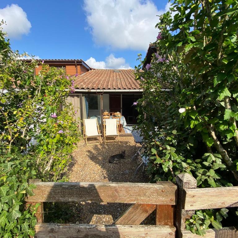 Villa Patio Port Capbreton - Two-Bedroom House - 5