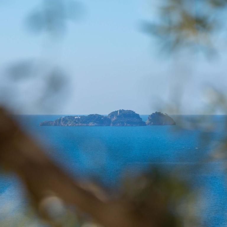 Amore Rentals - Villa Le Sirene - Villa Deluxe - 16