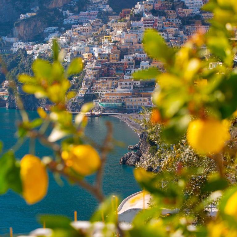 Amore Rentals - Villa Le Sirene - Villa Deluxe - 59