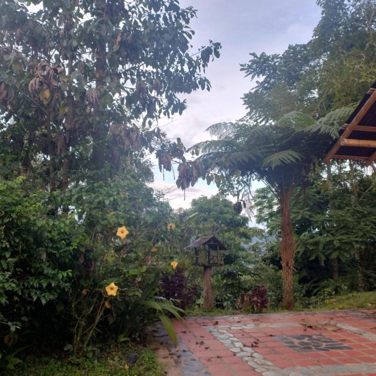 Cabaña El Otoño - Chalet - 2
