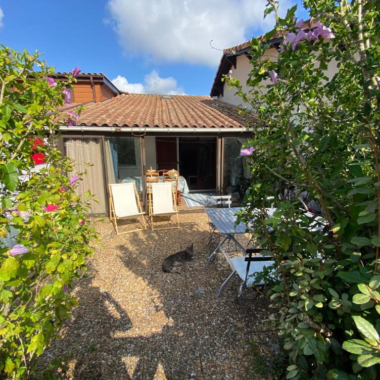 Villa Patio Port Capbreton - Two-Bedroom House - 2