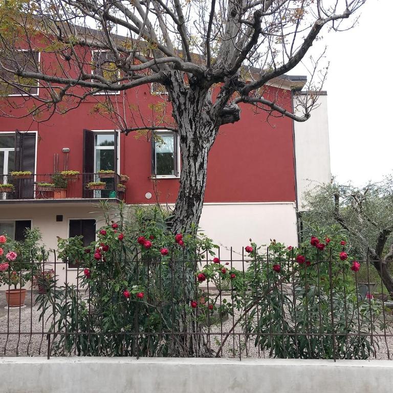 Appartamento Linuccia - Appartamento con 2 Camere da Letto e Vista Giardino - 4