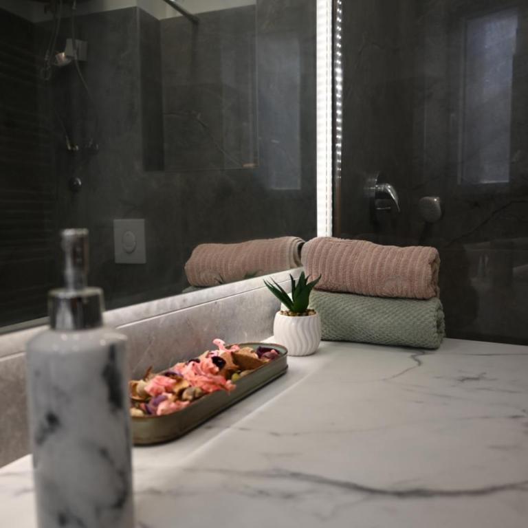 La Pastorela - One-Bedroom Apartment - 11