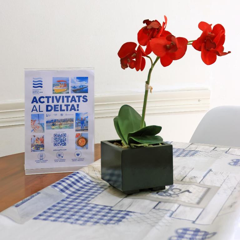 Agusti Hostal - Estudio Superior - 6