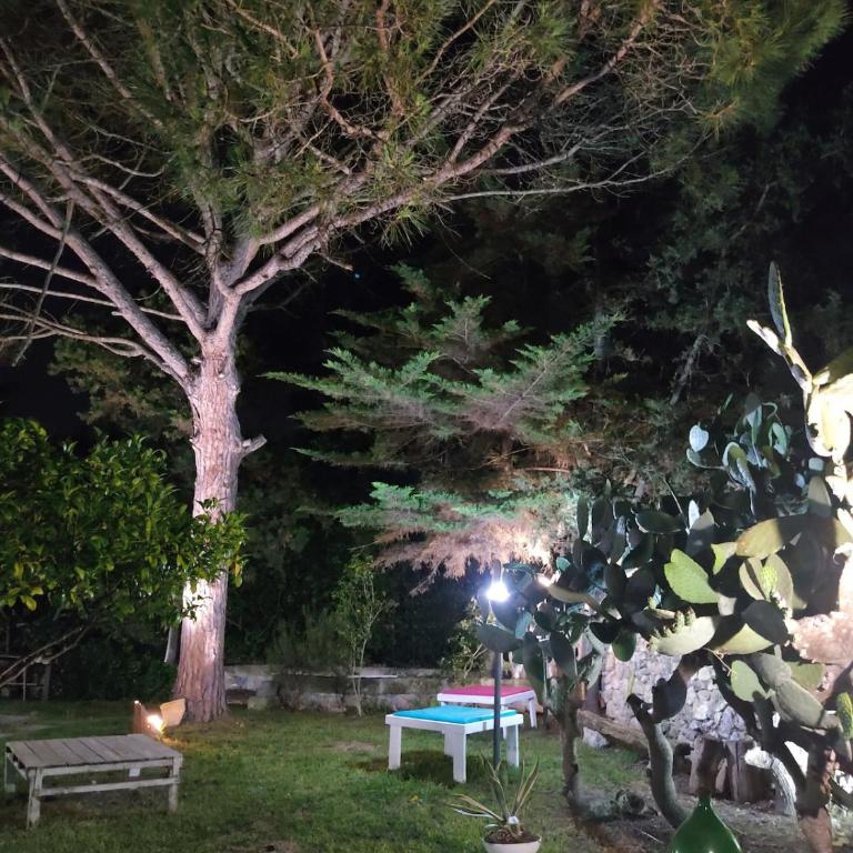 Villa Messapica, casa Veranda - Villa con 1 Camera da Letto - 29