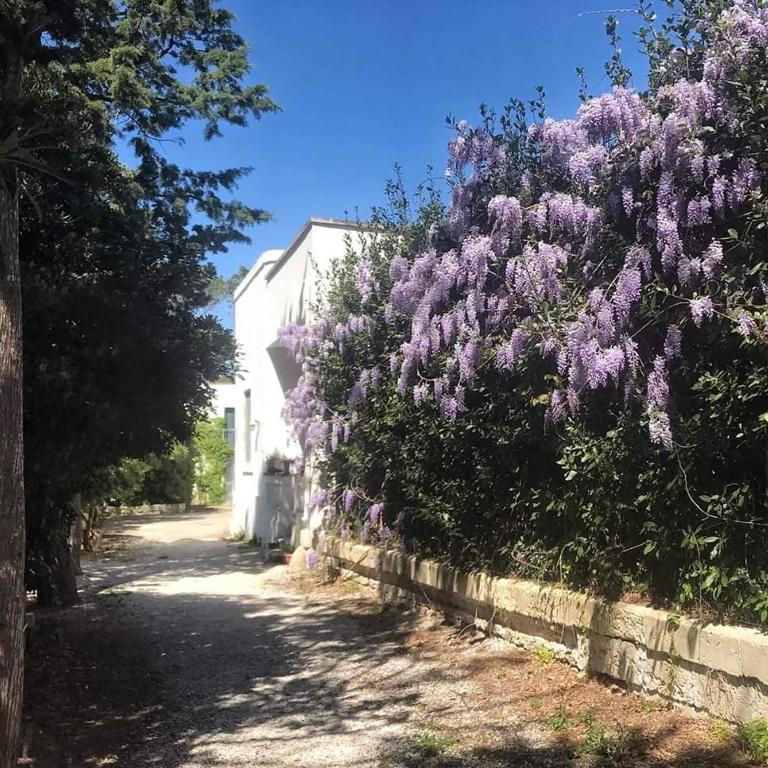 Villa Messapica, casa Veranda - Villa con 1 Camera da Letto - 20