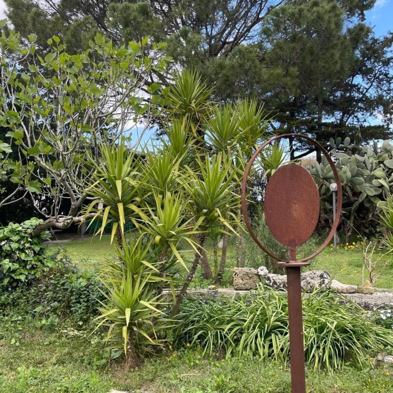 Villa Messapica, casa Veranda - Villa con 1 Camera da Letto - 50