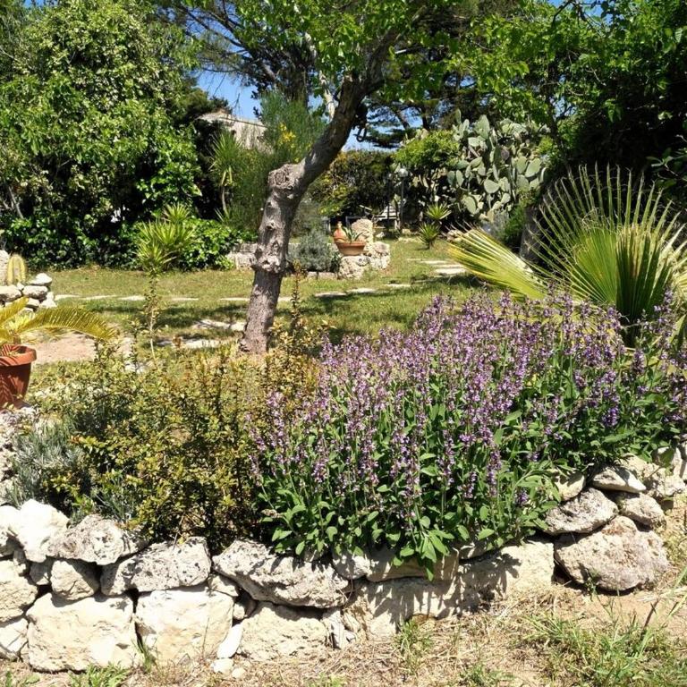 Villa Messapica, casa Veranda - Villa con 1 Camera da Letto - 51