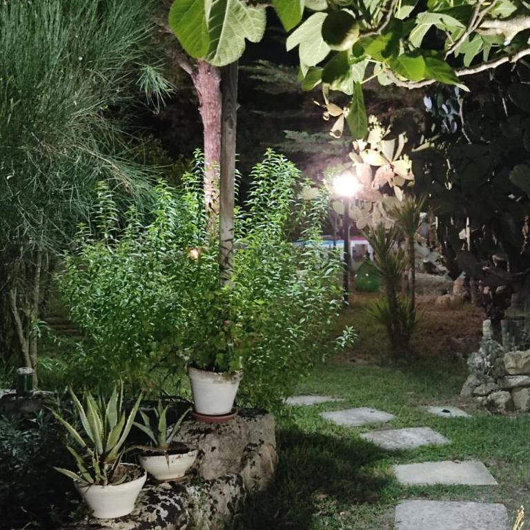 Villa Messapica, casa Veranda - Villa con 1 Camera da Letto - 32