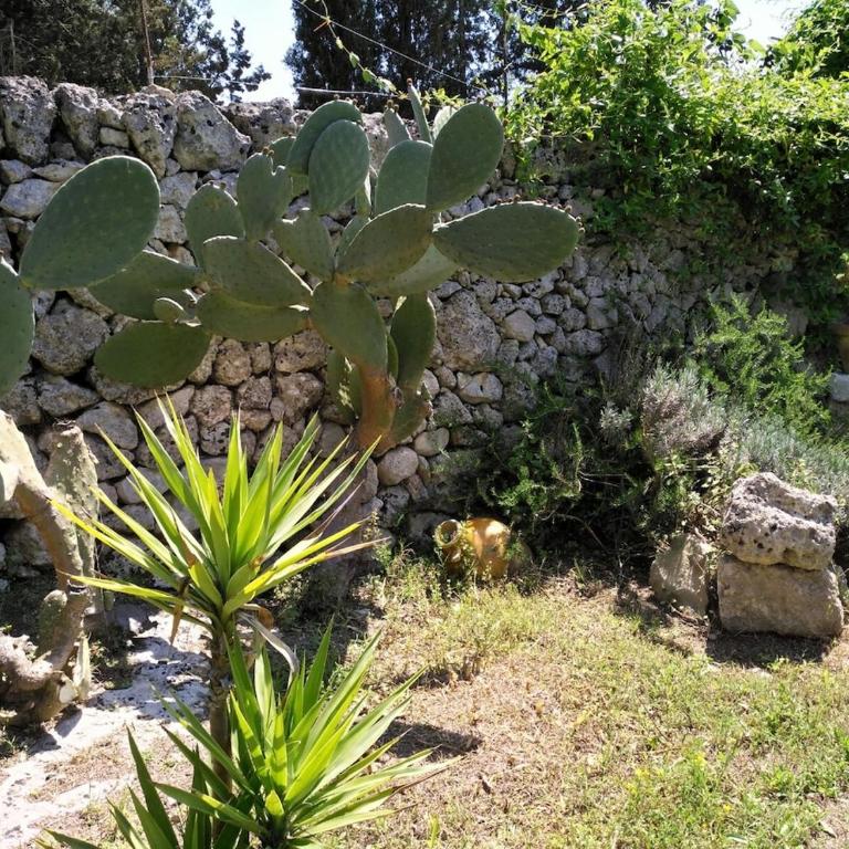 Villa Messapica, casa Veranda - Villa con 1 Camera da Letto - 77