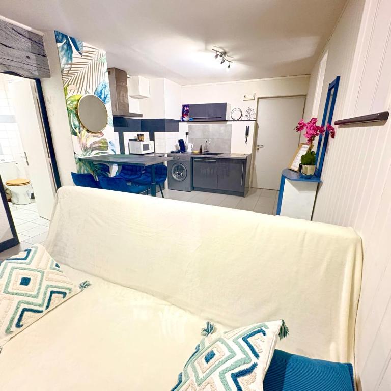 Agréable t2 calme centre-ville Cahors - Appartement 1 Chambre - 4