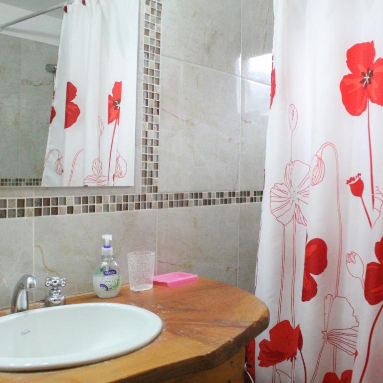 NOTRO 5 Tordo en la base del cerro Catedral con vistas - Maisonette - 8