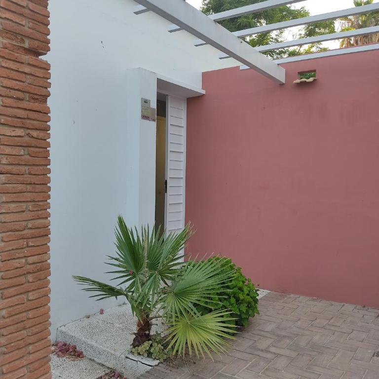 Spinola Beachfront Bungalows - Apartamentos bungalow en primera linea de playa en Sanlúcar de Barrameda - Apartamento de 3 dormitorios con vistas al mar - 4