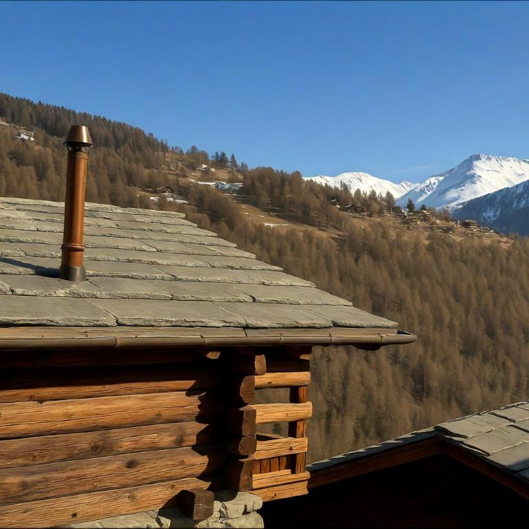 Les Mayens d'Adrien - Chalet - 3