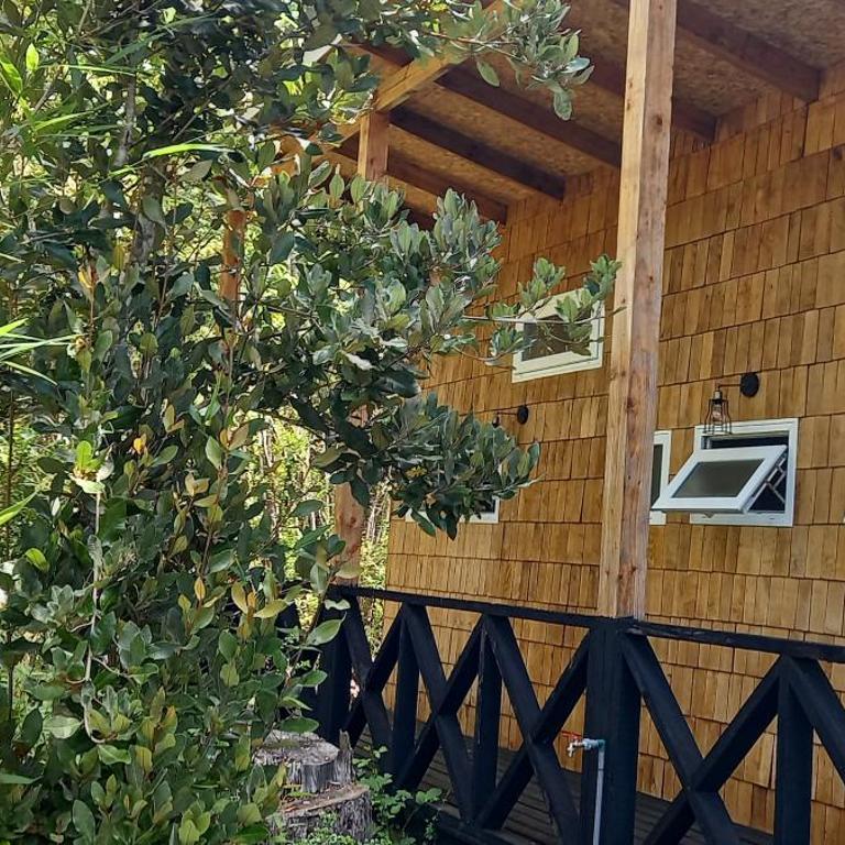Cabaña Entre Bosque - Casa de 2 dormitorios - 3