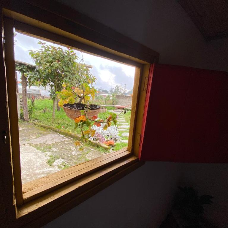 El Hostal del Abuelo - Habitación Doble con vistas al parque - 4