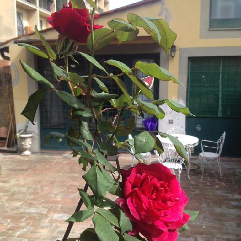 La Piccola Oasi con parcheggio - Appartamento - 58
