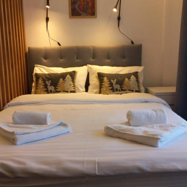 Kop San Residence Hill - Apartman sa 1 Spavaćom Sobom - 9
