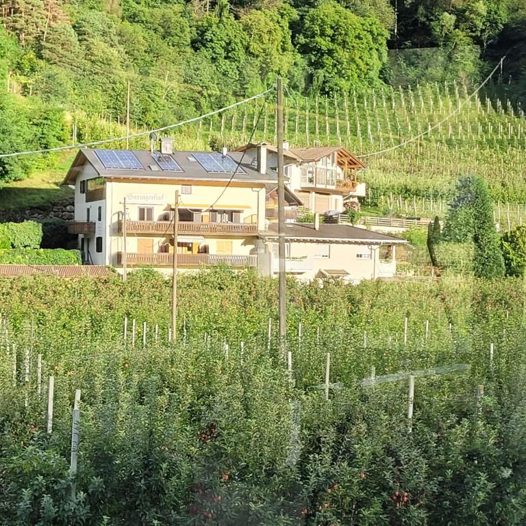 Saringerhof - Appartement 1 Chambre - 25