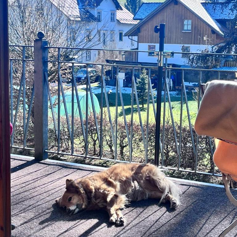 AllgäuLoft im Sennhof - Apartment mit 1 Schlafzimmer - 27