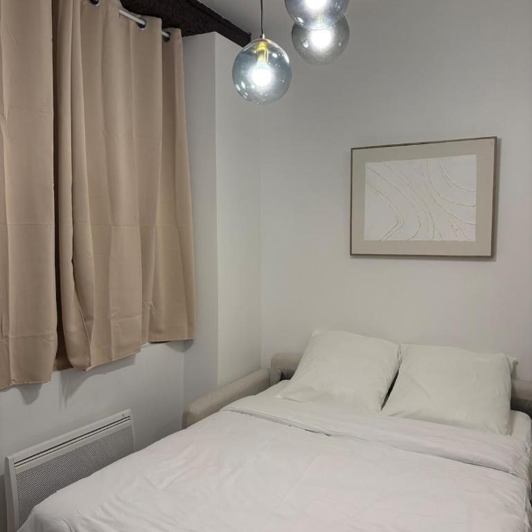 Appartement Saint-Pierre TOULOUSE hyper centre ville - Apartamento de 1 dormitorio - 4