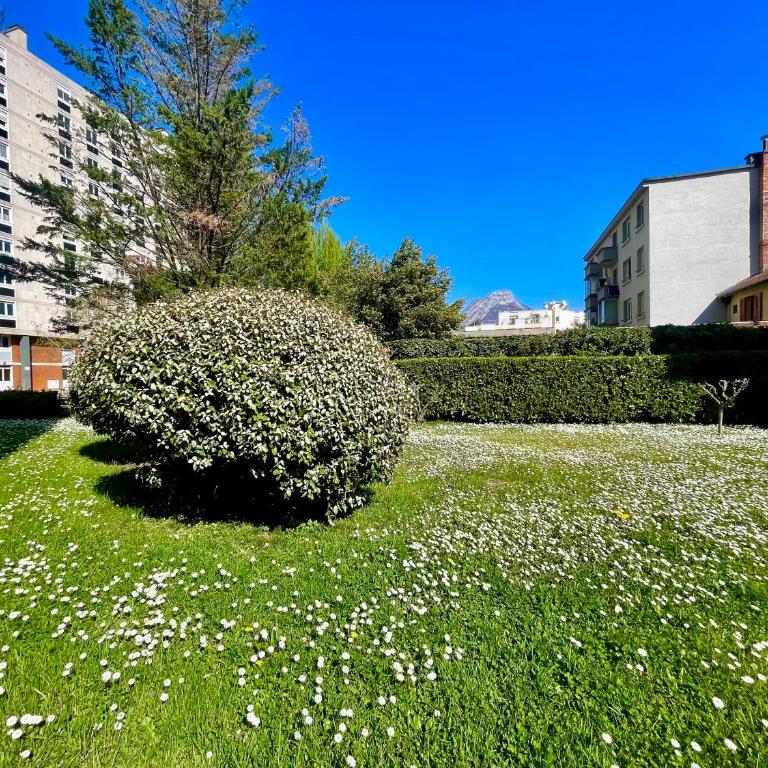 Studio "Côté Jardin" Mutualiste Grenoble - Studio Apartment - 16