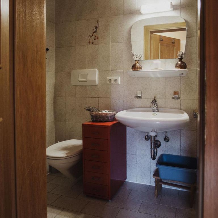 Töllhof Apartments and Farm - Appartamento con 1 Camera da Letto e Balcone - 16