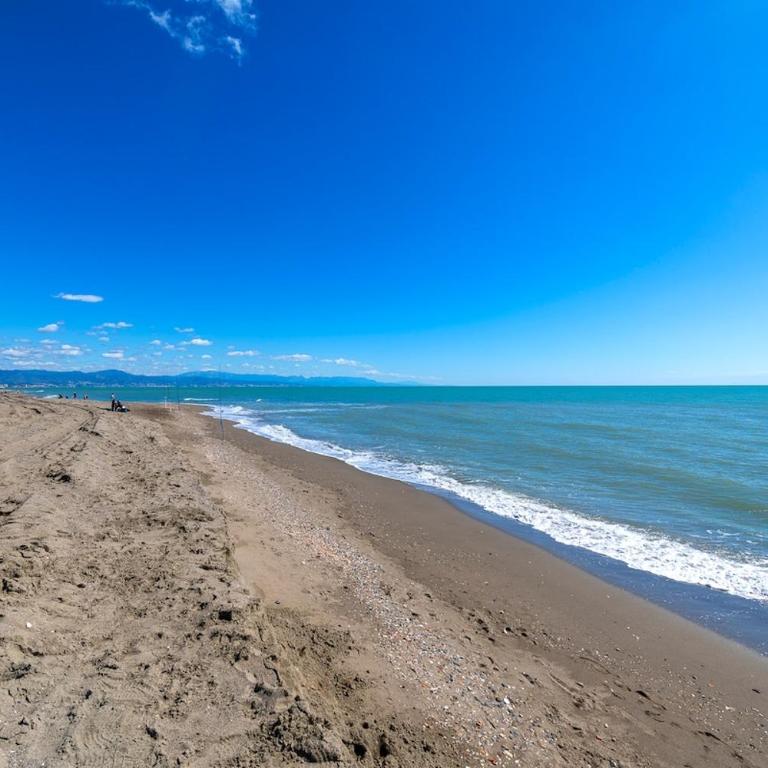 Apartamento junto a la playa - Apartamento de 1 dormitorio - 22