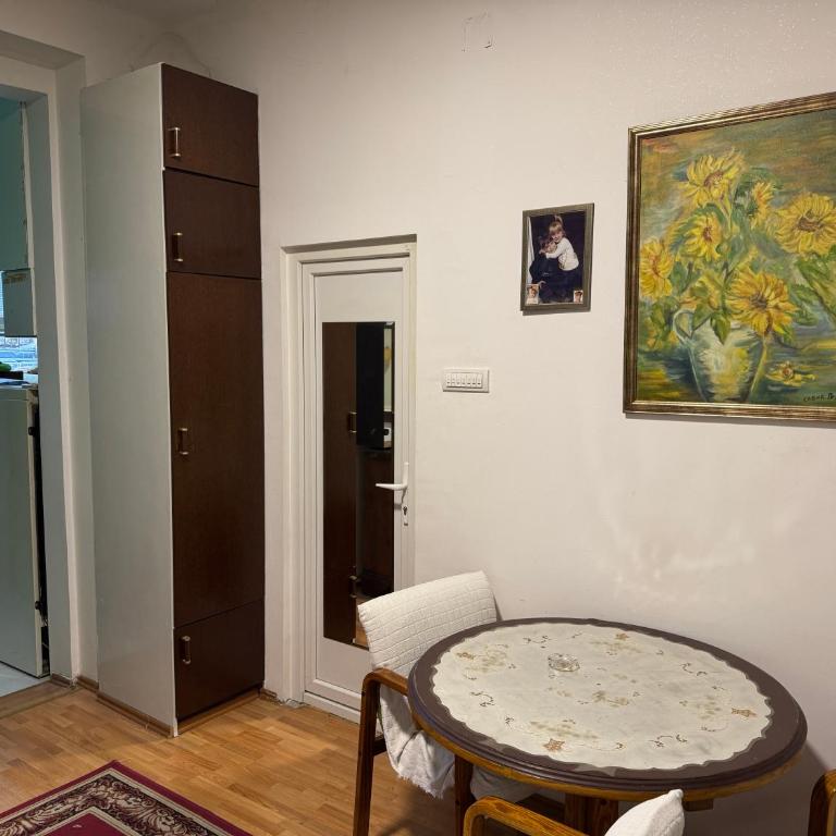 Beograd Birčaninova - Apartman sa 1 Spavaćom Sobom - 5