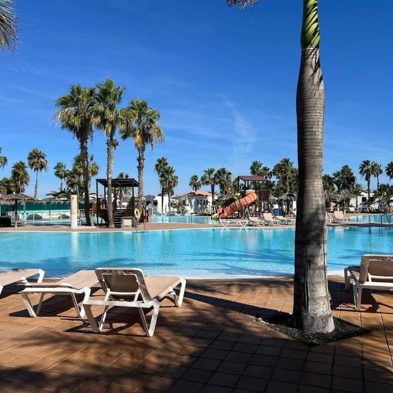 Corralejo Oasi Dunas Persefone apartment - Vacation Home - 19