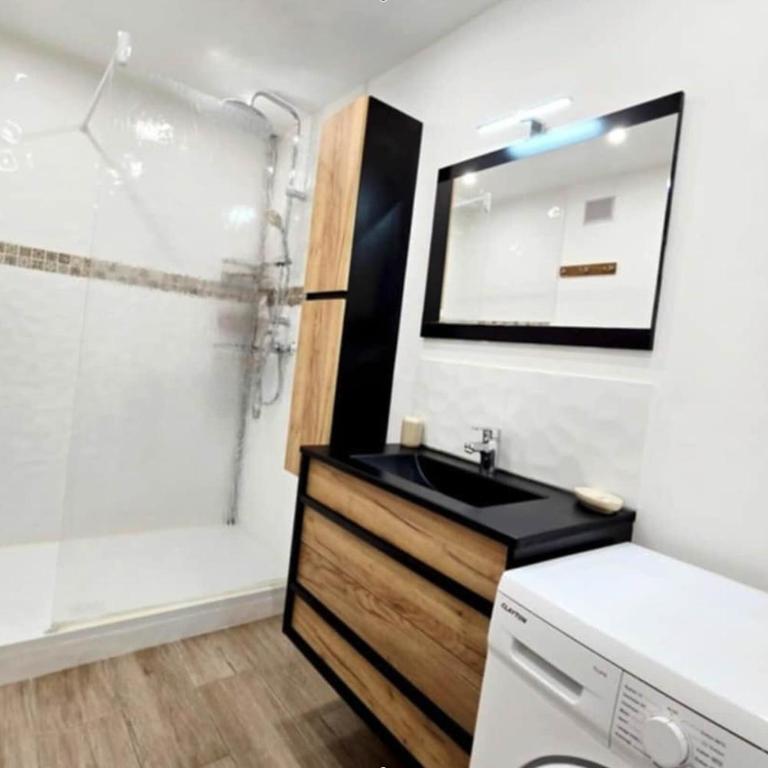 Grand T2 cosy et lumineux face à l'étang - Appartement 1 Chambre - 15
