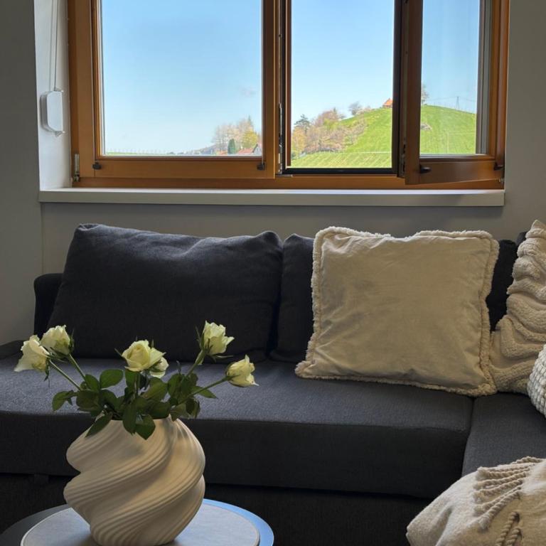 Glanz und Gloria Weingartenapartment an der Kellerstraße, viele Buschenschänke, sehr ruhige Lage, herrliche Aussicht! - Appartement - Vue sur Jardin - 16