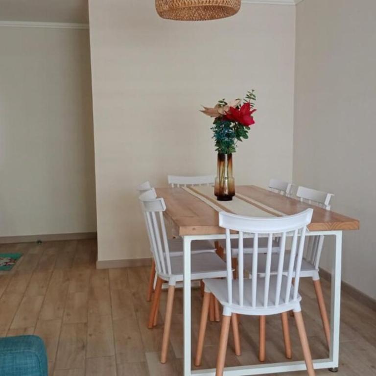 Depto en La Serena con vista al mar - Apartamento de 2 dormitorios - 12