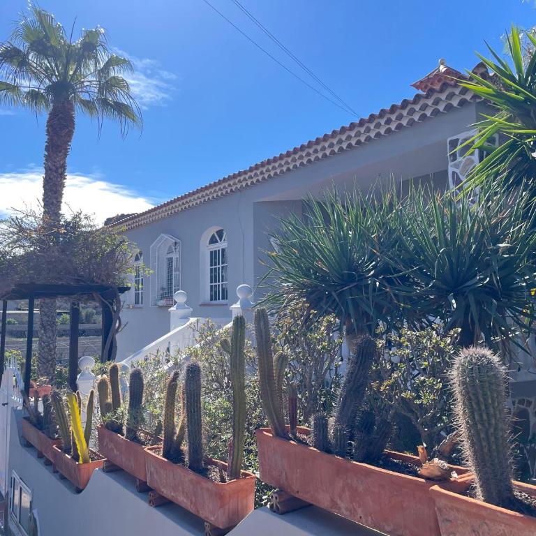 Eden's Retreat - Apartamento de 1 dormitorio - 43